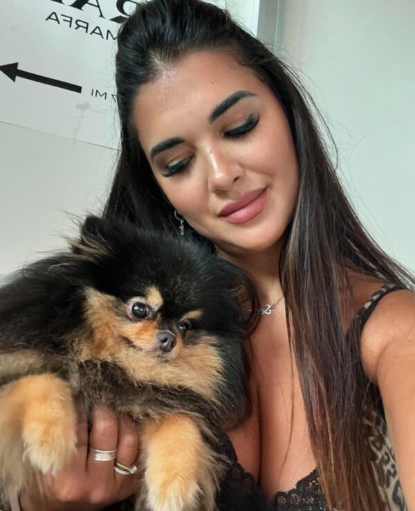 Are blue Pomeranians more expensive than other Pomeranian colors